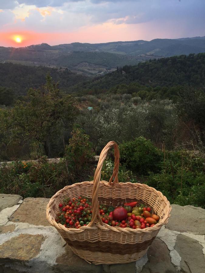 Podere Campolungo Greve in Chianti Exterior foto